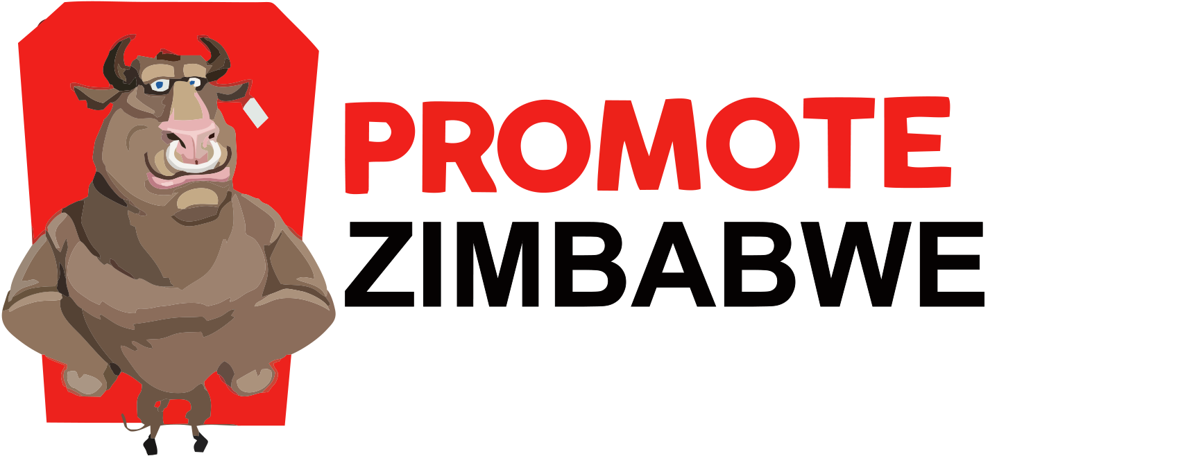 Promote Zimbabwe